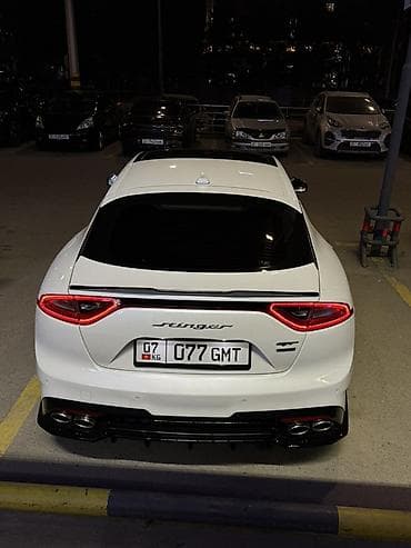 подсветки для машины: Kia Stinger: 2017 г., 3.3 л, Автомат, Бензин, Лифтбек — 10