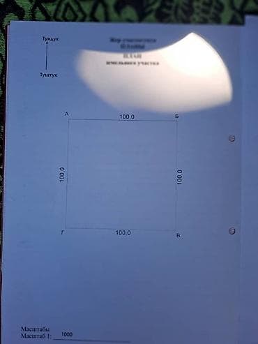 ысык куле: 100 соток, Бизнес үчүн, Кызыл китеп — 1