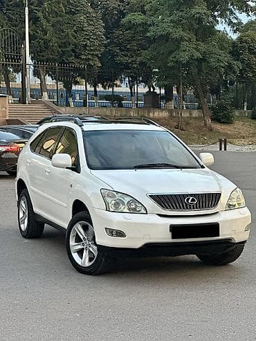 Lexus RX: 2004 г., 3 л, Автомат, Бензин, Внедорожник