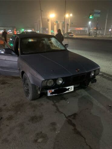 пошиф чехлов: BMW 5 series: 1990 г., 2 л, Седан — 1
