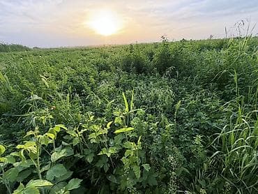 работа бишкек склад: 200 соток, Айыл чарба үчүн, Сатып алуу-сатуу келишими, Белек келишими — 4