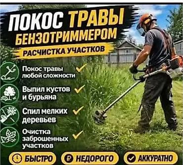 выгул сабак: Уборка территории, Стрижка газона — 1