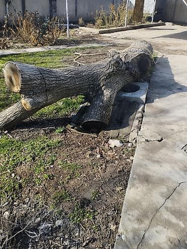 Садовая мебель: Дрова — 1