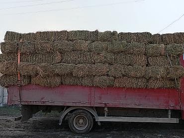 Сено в тюках клевер - Спрессованные прямоугольные тюки, удобные для