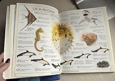 куплю музыкальные инструменты: Продаю б/у детские книги на Английском языке за 500 сом — 3