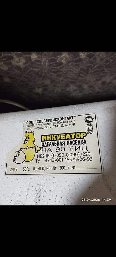 рыбы купить в аквариум: Продаю | Цыплята, Инкубационные яйца, Куры — 2