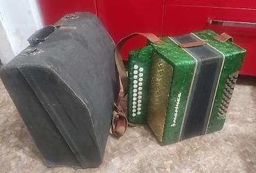 мурской штаны: Баян «Маричка» (двухрядная гармоника) - Корпус: зелёный перламутровый — 2