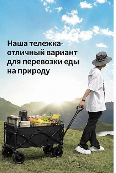 луг: Садово-строительная тачка и тележка, Четырехколесная, Новый, В розницу — 4