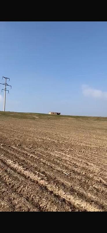 6 соток, Для строительства, Красная книга