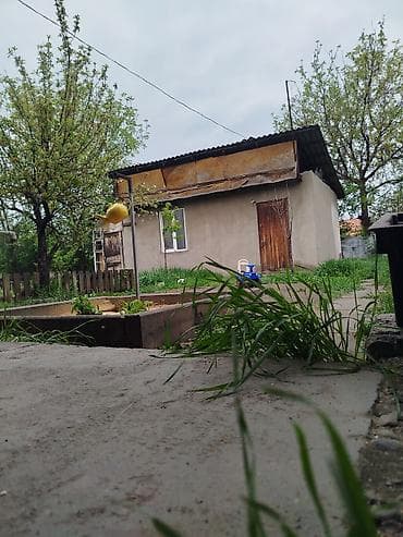 тынчтык ж м: 5 соток, Техпаспорт — 4