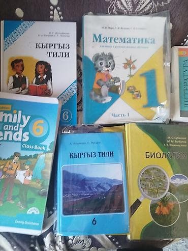оно книга: Комплект школьных учебников для 6 класса (Кыргызстан). Состав (по — 4