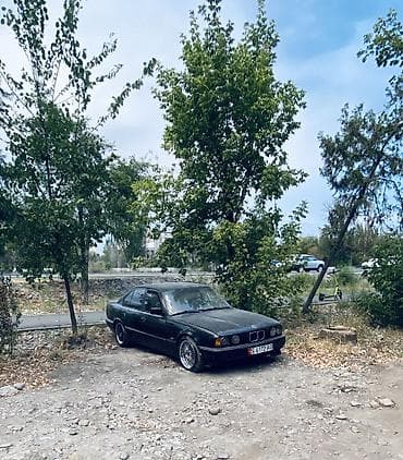 бмв е34 бу: BMW 5 series: 1992 г., 2.5 л, Механика, Бензин, Седан — 1