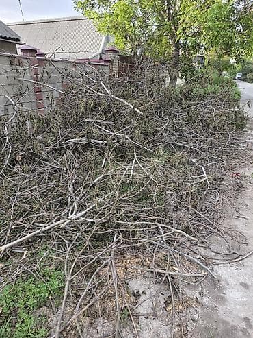 угловой компьютерный стол с надстройкой: Дрова — 2
