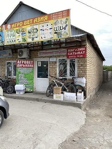 купить собаку таксу: 🔥 Готовый арендный бизнес: Продаются 2 магазина с надежными — 2
