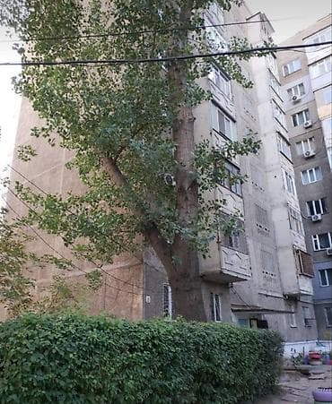 3 комнаты, 68 м², 1 этаж — 2