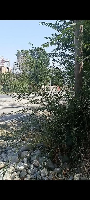 ижарага кафе: 16 соток, Бизнес үчүн, Кызыл китеп, Техпаспорт, Үлүштүк катыш келишими — 2
