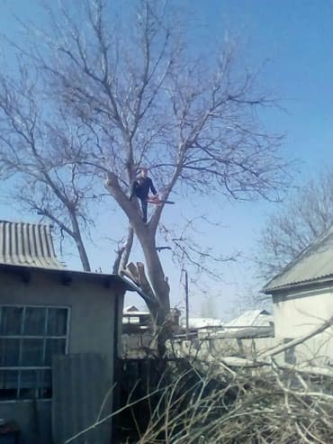 слом дома и вывоз мусора цена: Спилить дерево! Нет проблем. Очистить от разросшихся кустарников и — 4