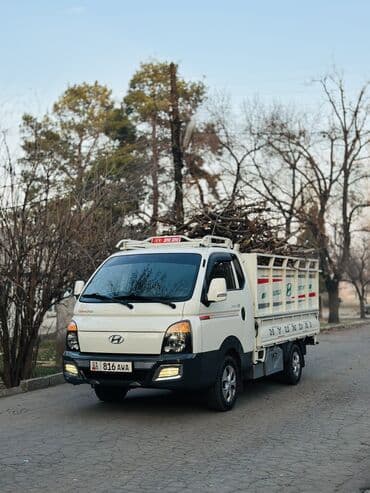 сплинтер бортовой: Легкий грузовик, Hyundai, Стандарт, Новый — 1