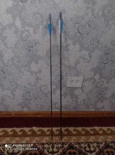 прибор ночного видения для охоты бу: Продаются стрелы для лука стрелы из стекловолокна 250 сом стрелы — 2