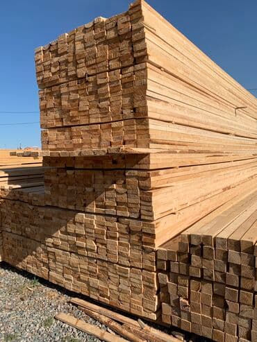 Жыгач Кампа 
Адрес 
Калинина101