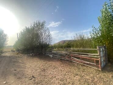 Үйдү ижарага алам: Үй, 80 кв. м, 3 бөлмө, Менчик ээси, Косметикалык оңдоо — 14