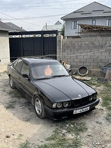 BMW 525: 1991 г., 2.5 л, Механика, Бензин, Седан