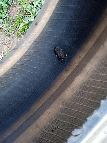 ф 90: Шины 175 / 65 / R 14, Лето, Б/у, Пара, Легковые, Китай, Goform — 4