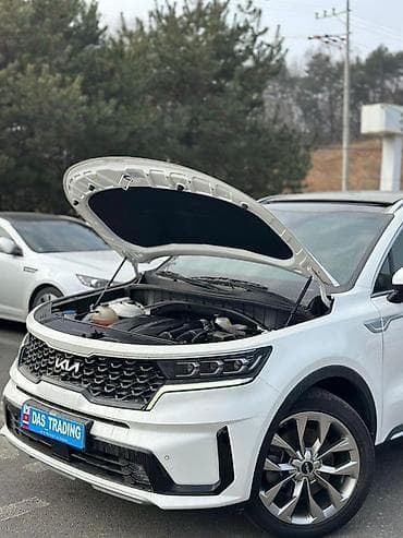 dewoo matiz: Kia Sorento: 2022 г., 2.5 л, Автомат, Бензин, Кроссовер — 10