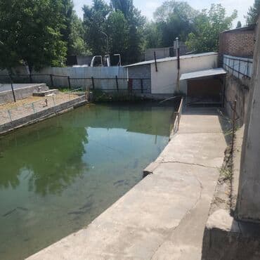 купля квартиры: Дом, 220 м², 7 комнат, Собственник, Евроремонт — 10