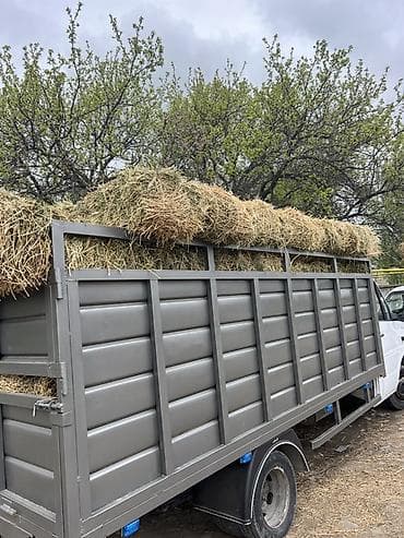 я ищу кроликов: Сено в тюках Цена 360 первый кос доставка договорная - Н - Подходит — 2