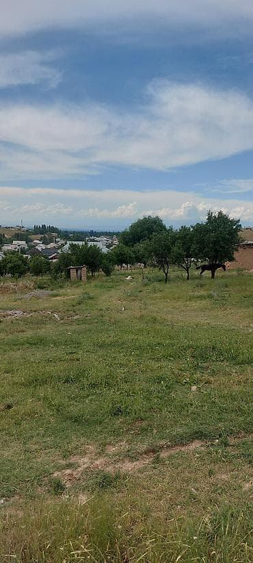 торгой булак: 7 соток, Курулуш, Кызыл китеп — 3