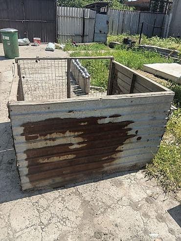 жаныбарлар: Башка торлор — 2