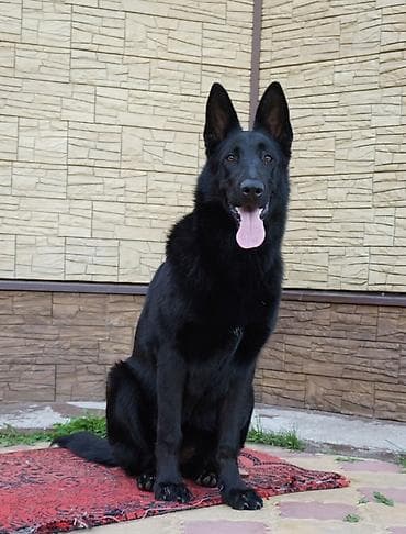 Нужен кабель для вязки ВЕО !!!!! с документами