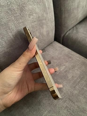 iphone 12 pro max iphone 12: IPhone 12 Pro Max, 256 ГБ, цвет Gold (золотой). Характеристики и — 5