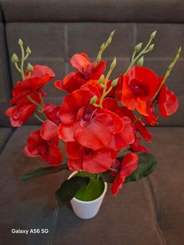 кресла офисные бу: Продаю красивые декоративные (искусственные) цветы. Красота всегда — 14