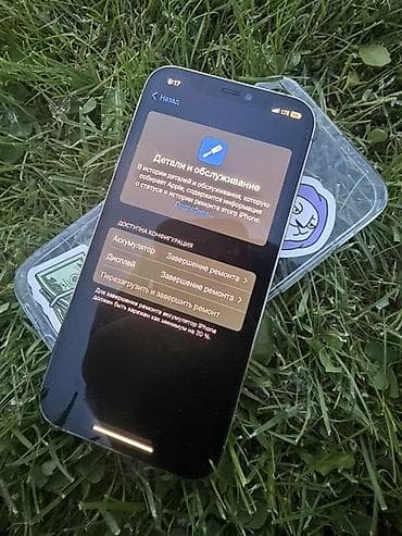 huawei ноутбук бишкек: IPhone 12 Pro, 256 ГБ, Күмүш, Каптама — 4