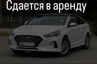 как получить рабочую визу в корею гражданам кыргызстана: Сдаю Hyundai Sonata, Долгосрочно, Без водителя, | Залог — 1