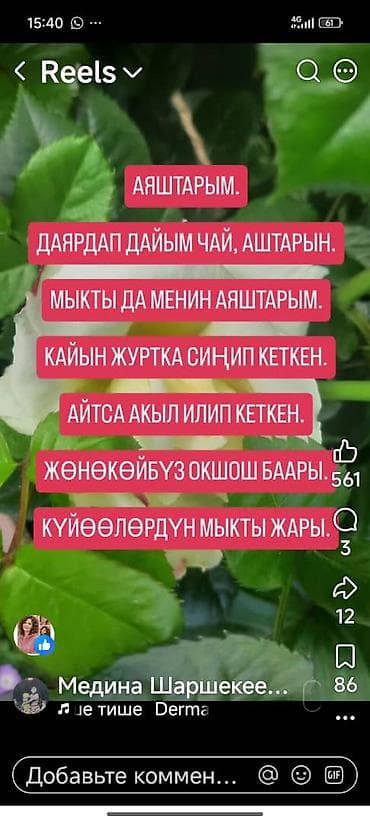 ремонт мото техники: Кафель чаптайбыз жана венецианский штыкатурка барельев — 2