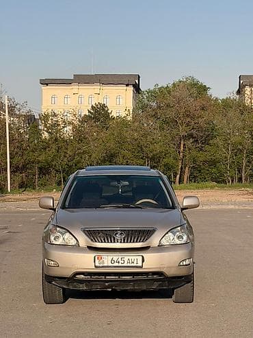 дверь на голф 3: Lexus RX: 2004 г., 3.3 л, Автомат, Бензин, Кроссовер — 3