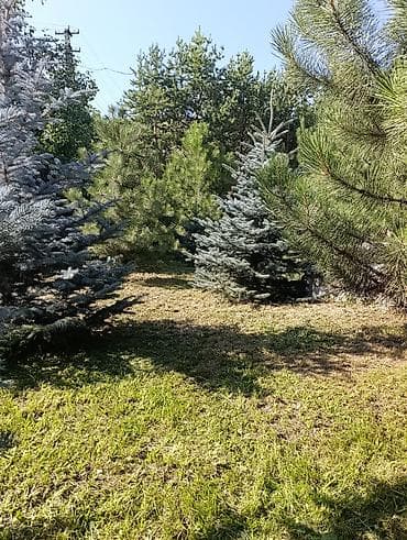 рынок недвижимости бишкек: Продаю дачу, совмещённые 3 участка по 5 соток, с документами на 3 — 4