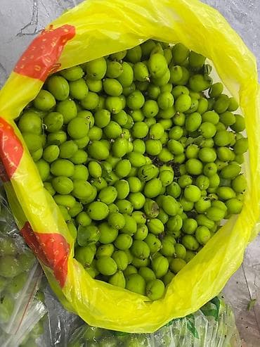 чёрный слива: Зелёные алычи (недозрелая слива) — мелкие плоды ярко‑зеленого цвета — 3