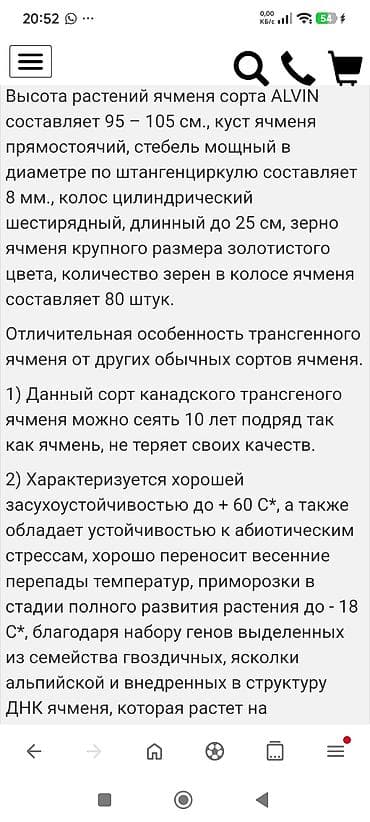 ячм: Продаю семена канадского высокоурожайного шестирядного ячменя;сорт — 2