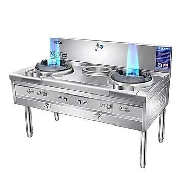 плита bosch: Промышленная электрическая плита с чугунными конфорками, жарочным — 10