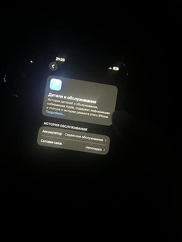 Срочно продаю IPhone 13 Pro Max, Память 256 ГБ Face ID, true ton все