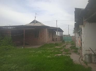 продаётся дом село сосновка: Продаётся земельный участок с жилым домом и хозяйственными — 3