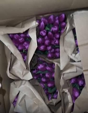 упаковка цветов: Тюльпаны в крафтовой упаковке - Сорта: розовые (нежные пастельные — 6