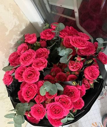 продаю роза: Большой букет ярко-розовых кустовых роз (свежий) Продаю роскошный — 4