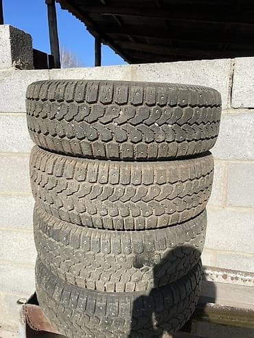 almera n16: Шины 175 / 65 / R 14, Зимняя шипованная, Новый, Комплект, Легковые, Yokohama — 4