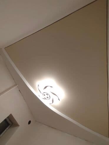 фикус большой: Натяжной потолок Глянцевое, Матовое, 3D потолки Гарантия, Бесплатная консультация, Бесплатный замер — 3