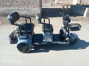 Электрический трехколесный скутер SHINE Vintage - Компоновка для трех